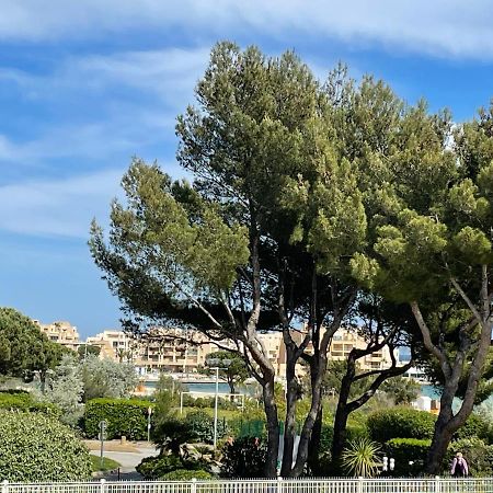 Ferienwohnung My Little Provence Bormes Les Mimosas Exterior foto